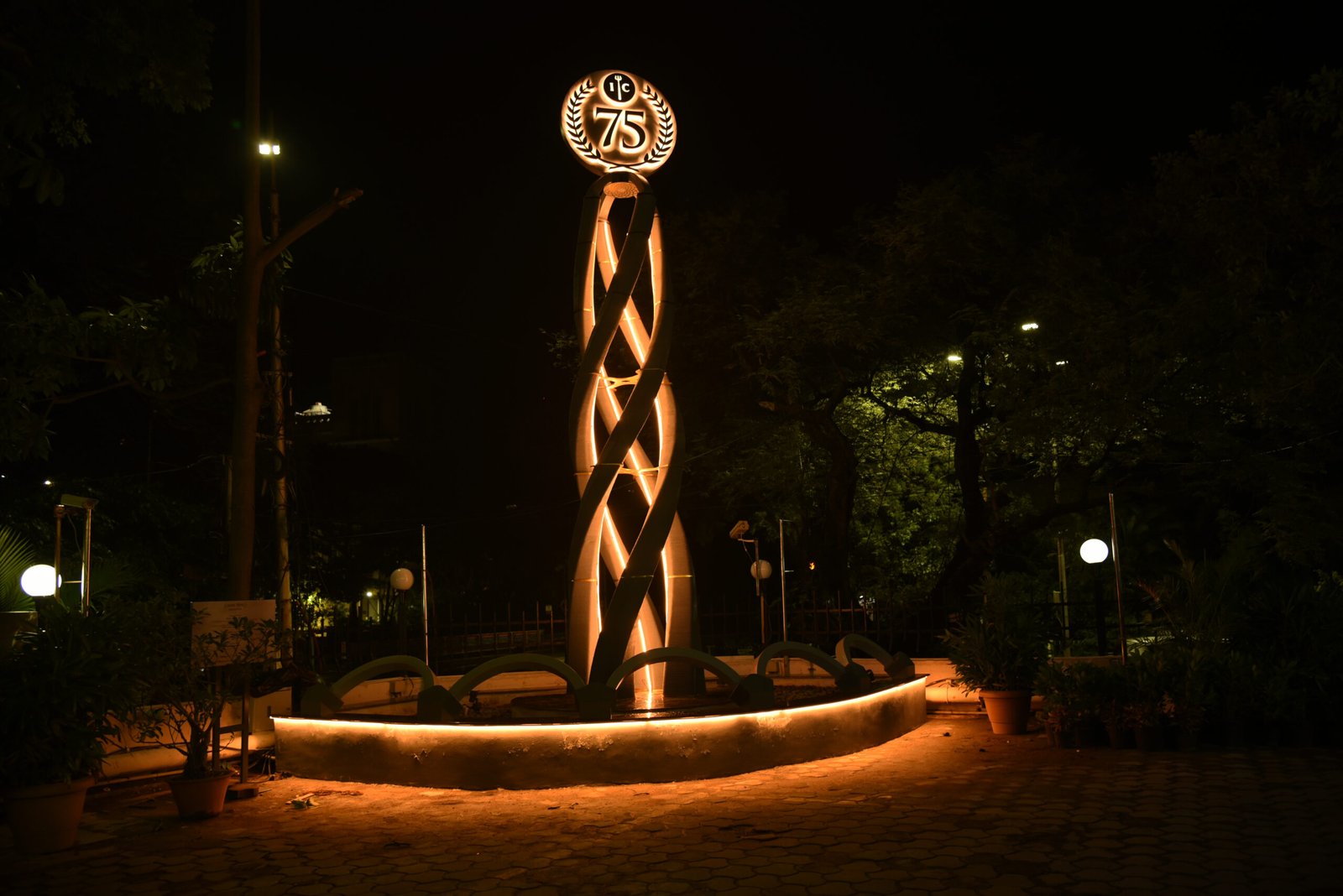 Copy of DSC_7478